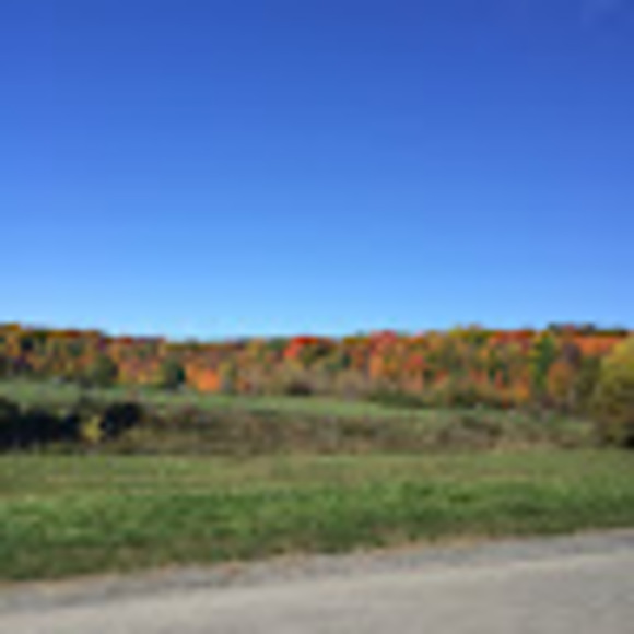 Meet your Posher, Fatima azzahra - Picture 1 of 1